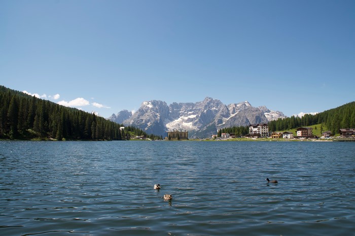 Lake Misurina with Mountains and Ducks in Italy