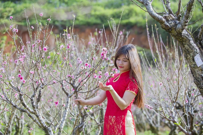 Woman in red dress among flowering trees