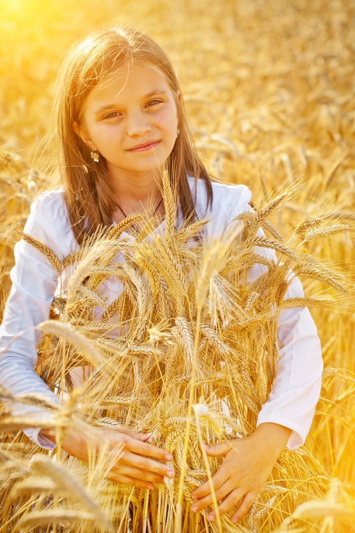 Girl in a wheat field holding wheat stalks