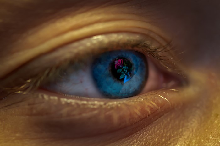 Extreme close-up of a blue eye with a rose reflection
