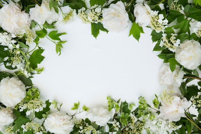 White Peonies and Hellebore Floral Border