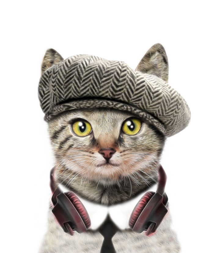 Cat wearing a hat and headphones