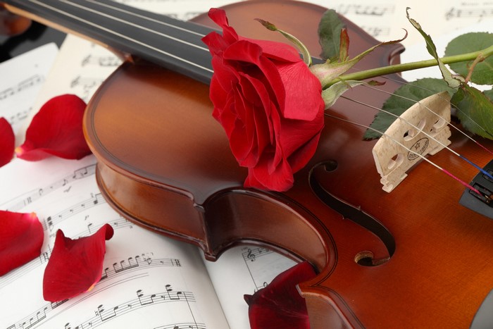 Violin with Red Rose and Petals on Sheet Music
