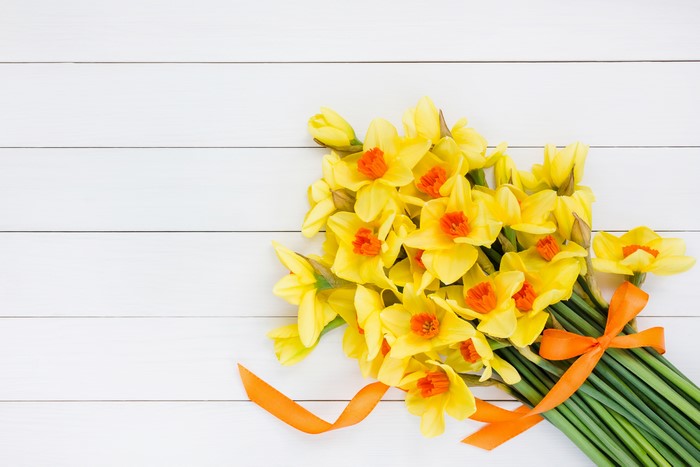 Bouquet of Yellow Daffodils with Orange Ribbon