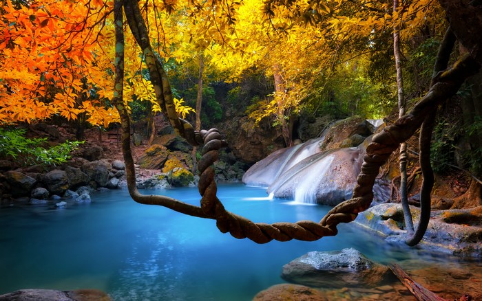 Autumn Waterfall and Twisted Vines in Thailand