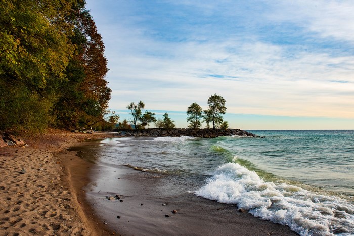 Beach with trees and waves on Lake Ontario