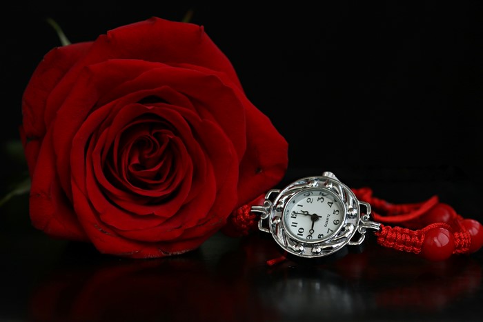 Red Rose and Quartz Watch