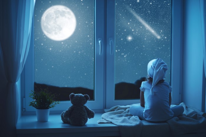 Girl and Teddy Bear Looking at the Night Sky