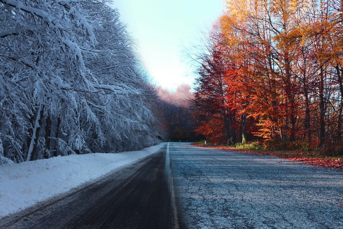Road in Autumn and Winter