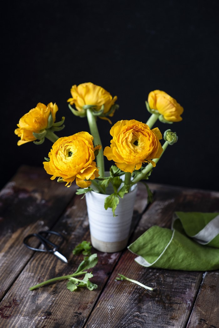 Yellow Ranunculus flowers in a vase on a wooden table