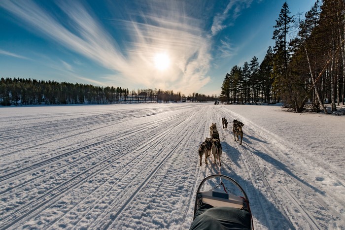 Dog sledding through a snowy landscape in Finland