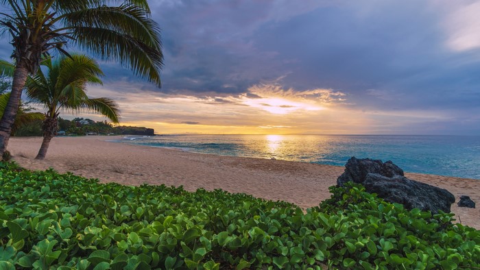 Sunset over a tropical beach with palm trees