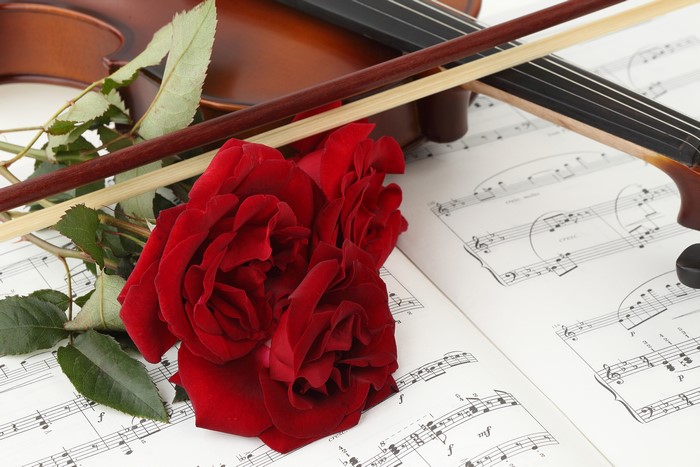 Violin, Bow, Red Roses, and Sheet Music