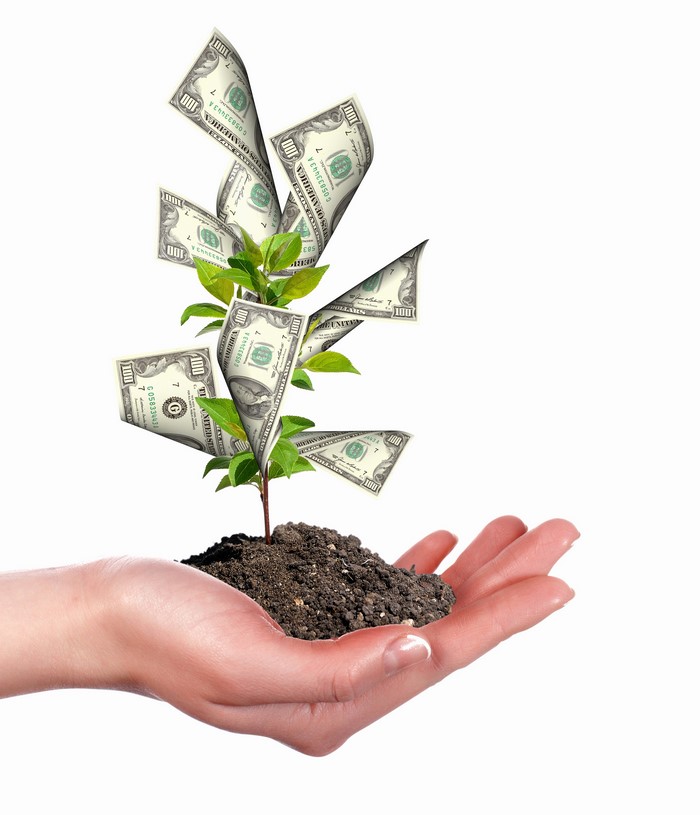 Hand holding plant with money growing from soil