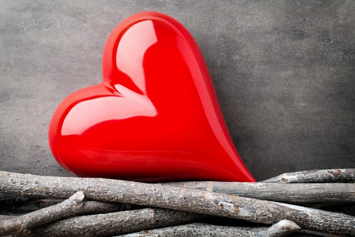 Red heart on branches with grey background