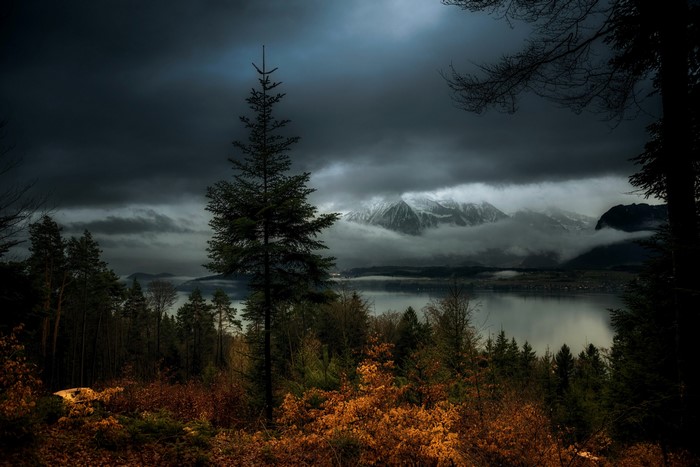 Dark Evening Over Mountains and Lake with Forest
