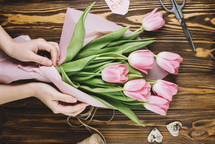 Pink Tulips Being Wrapped with Hands