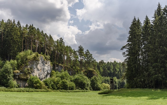 Forest and rock formation in Bavaria, Germany
