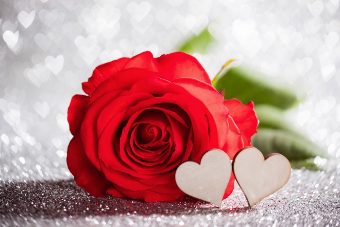 Red Rose with Two Hearts on Glittery Background