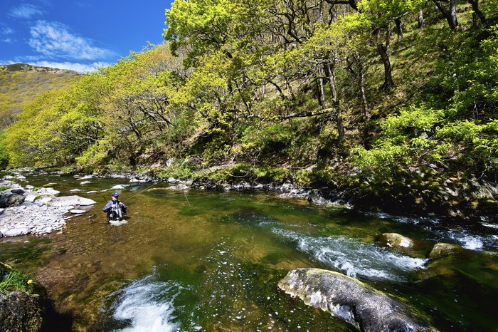 Man fly fishing in a river in Exmoor National Park