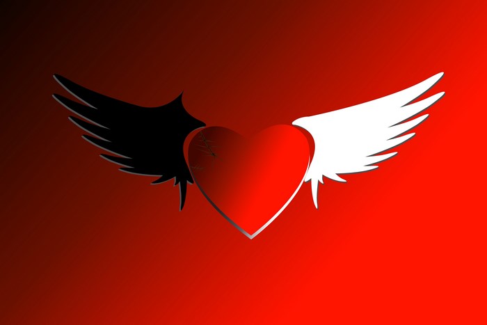 Broken Heart with Black and White Wings