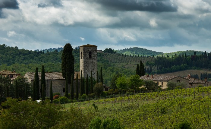 Tuscan landscape with vineyards and stone buildings