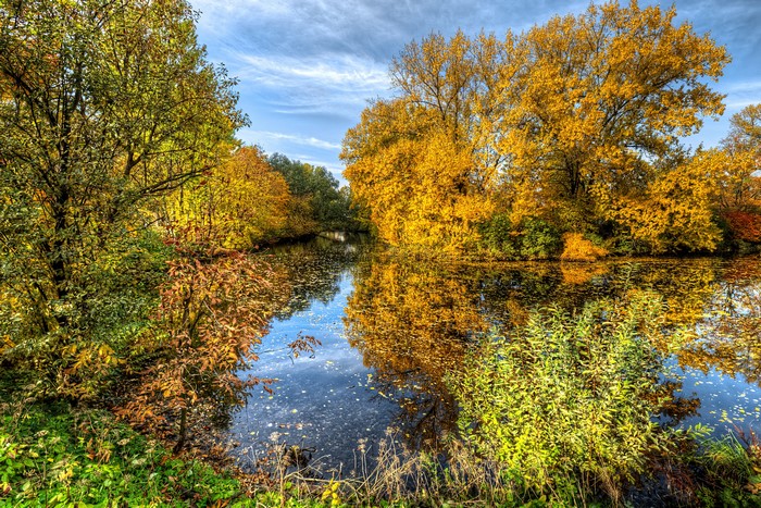 Autumn trees reflecting in a river in Park Ekaterinhof