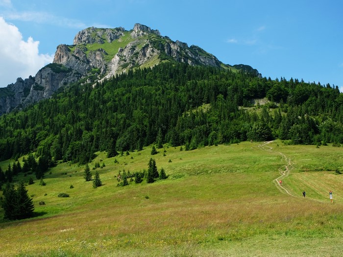 Mountain landscape with forest and hiking trail in Slovakia
