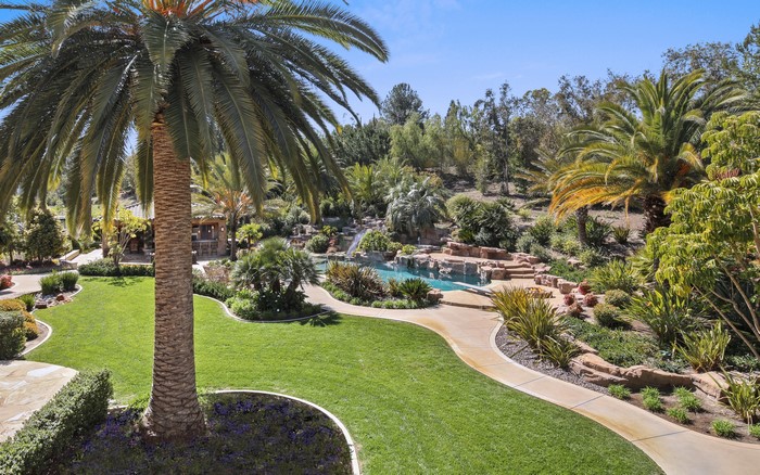 Backyard oasis with pool and palm trees in Trabuco Canyon, California