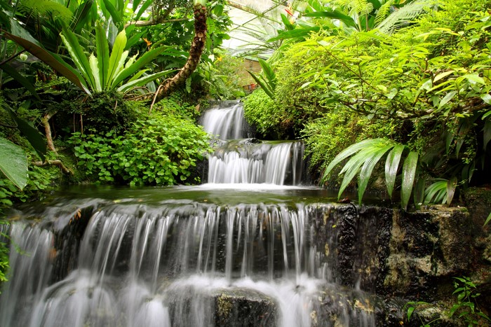 Lush Greenery Surrounding Cascading Waterfalls