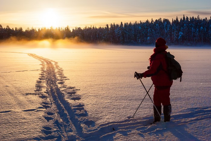 Person cross-country skiing at sunrise in a snowy forest