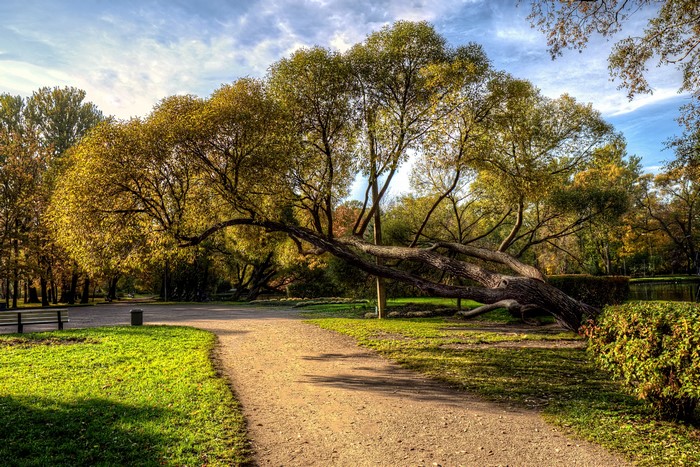 Park Ekaterinhof in St. Petersburg, Russia during Autumn