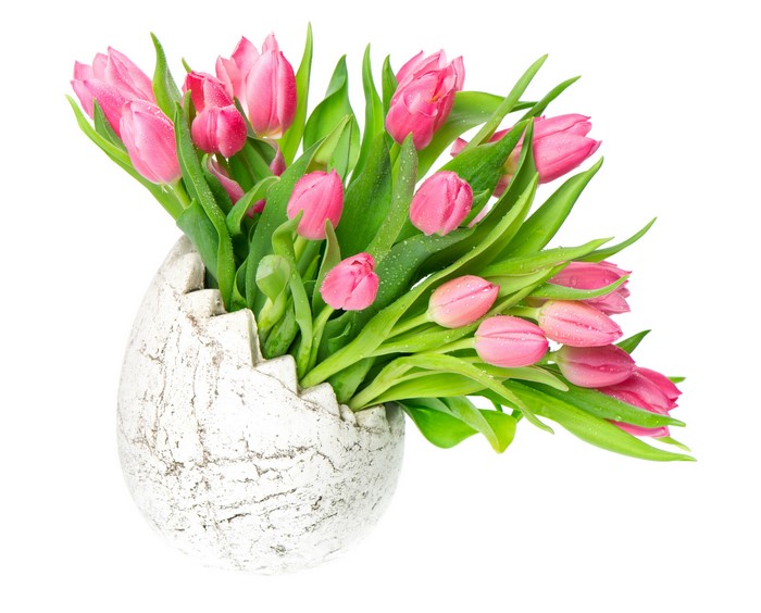 Pink Tulips in an Egg-Shaped Vase