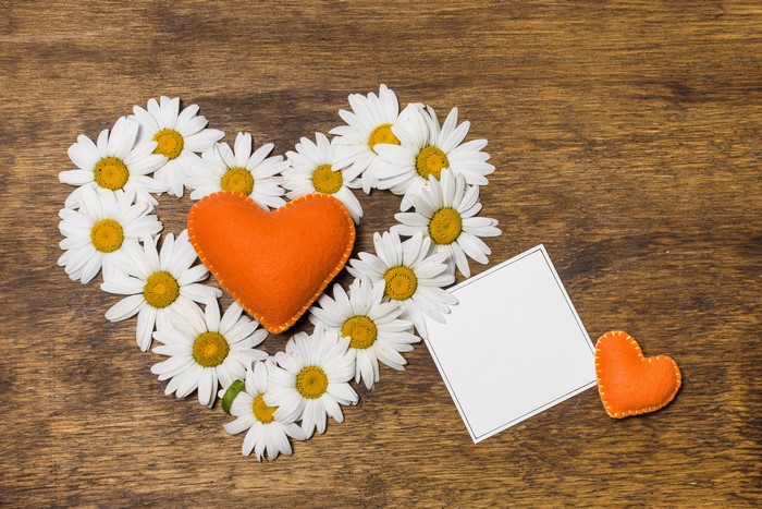 Heart shape of daisies with orange hearts and card