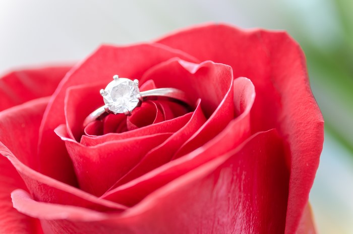 Diamond ring in a red rose