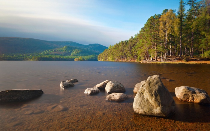 Lake with Pine Forest and Mountains