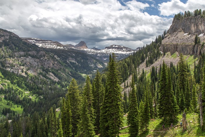 Mountains and Forests in Caribou-Targhee National Forest, USA