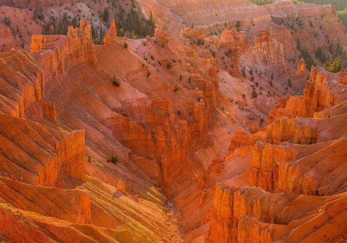 Cedar Breaks National Monument Hoodoos at Sunset