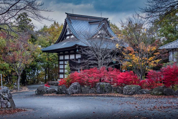 Numata Japan Houses Design Shrubs