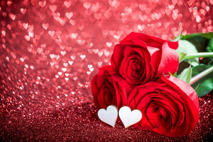 Red Roses with Heart Bokeh Background