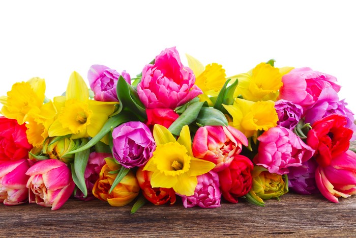 Bouquet of Tulips and Daffodils on Wooden Surface