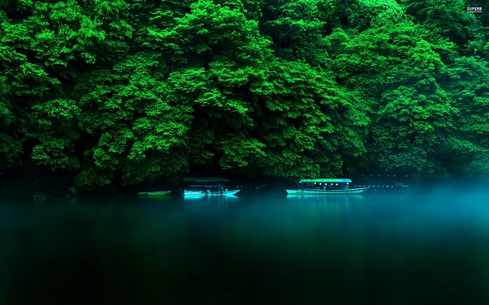 Boats on a misty river surrounded by dense green trees