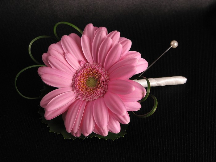 Pink Gerbera Boutonniere with Pearl Pin