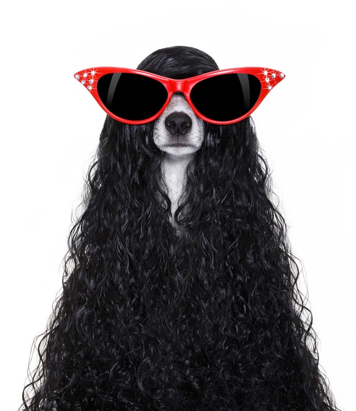 Dog with curly black hair and red sunglasses