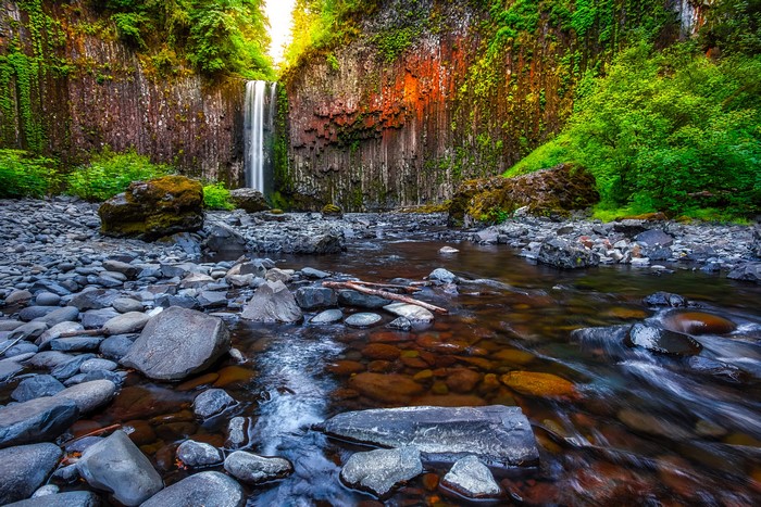 Abiqua Falls in Oregon with columnar basalt cliffs