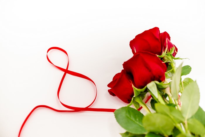 Red Roses and Red Ribbon on White Background