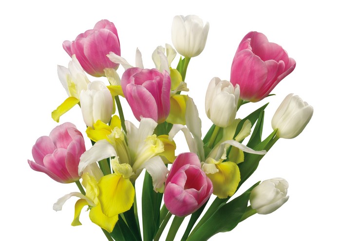 Pink and white tulips with yellow irises bouquet
