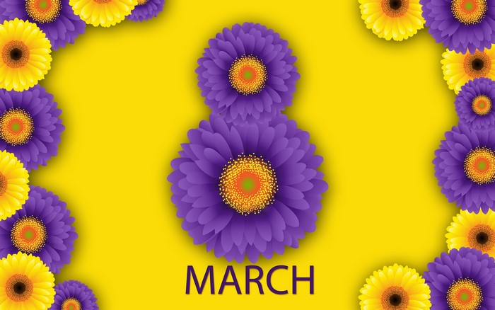March 8th International Women's Day Gerberas