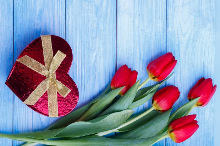 Red Heart Gift Box and Tulips on Blue Wood