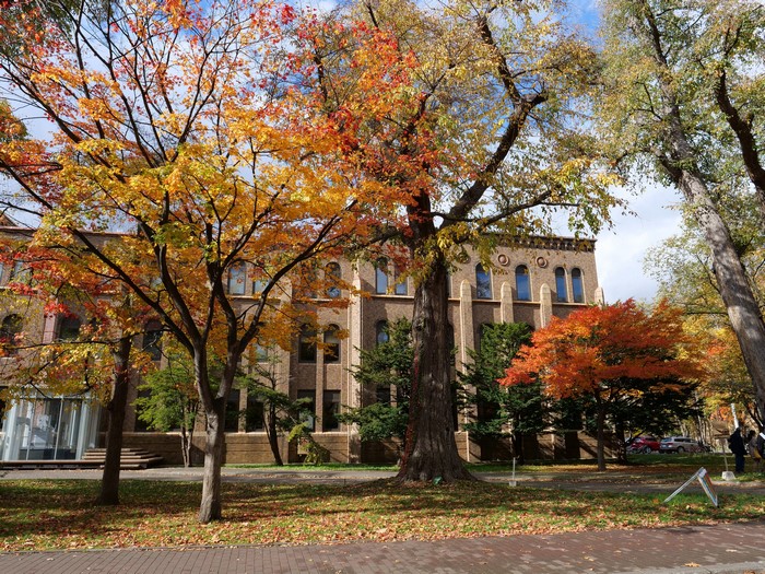 Hokkaido University in Autumn